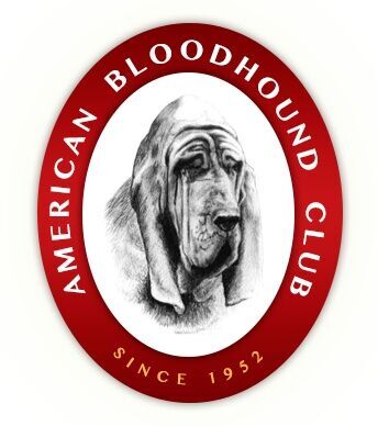American Bloodhound Club